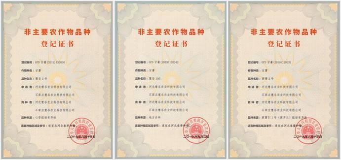 k8����(�й�)����Ӯ�ҡ�һ������