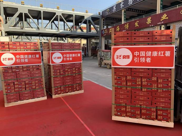 k8����(�й�)����Ӯ�ҡ�һ������