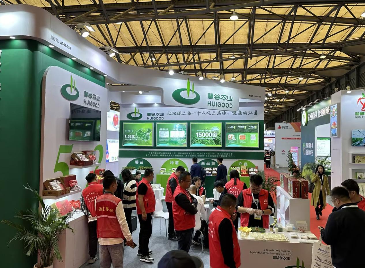 k8����(�й�)����Ӯ�ҡ�һ������