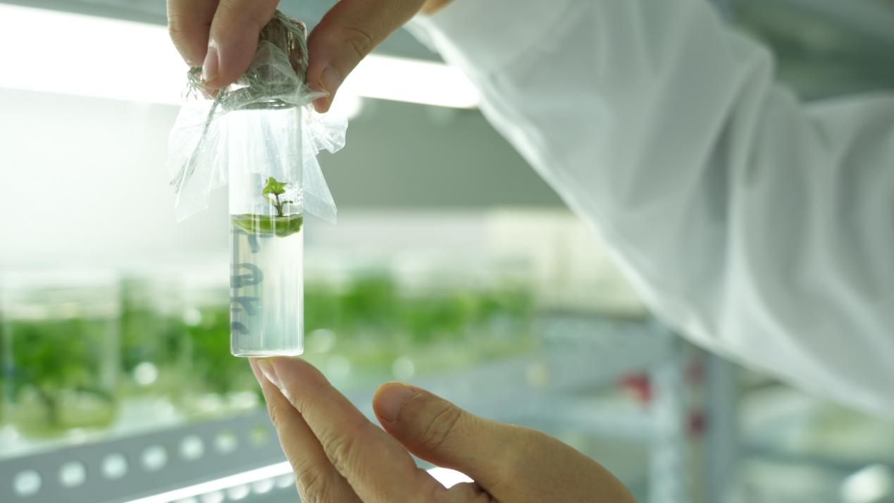 k8����(�й�)����Ӯ�ҡ�һ������