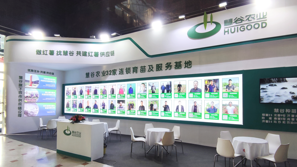 k8����(�й�)����Ӯ�ҡ�һ������