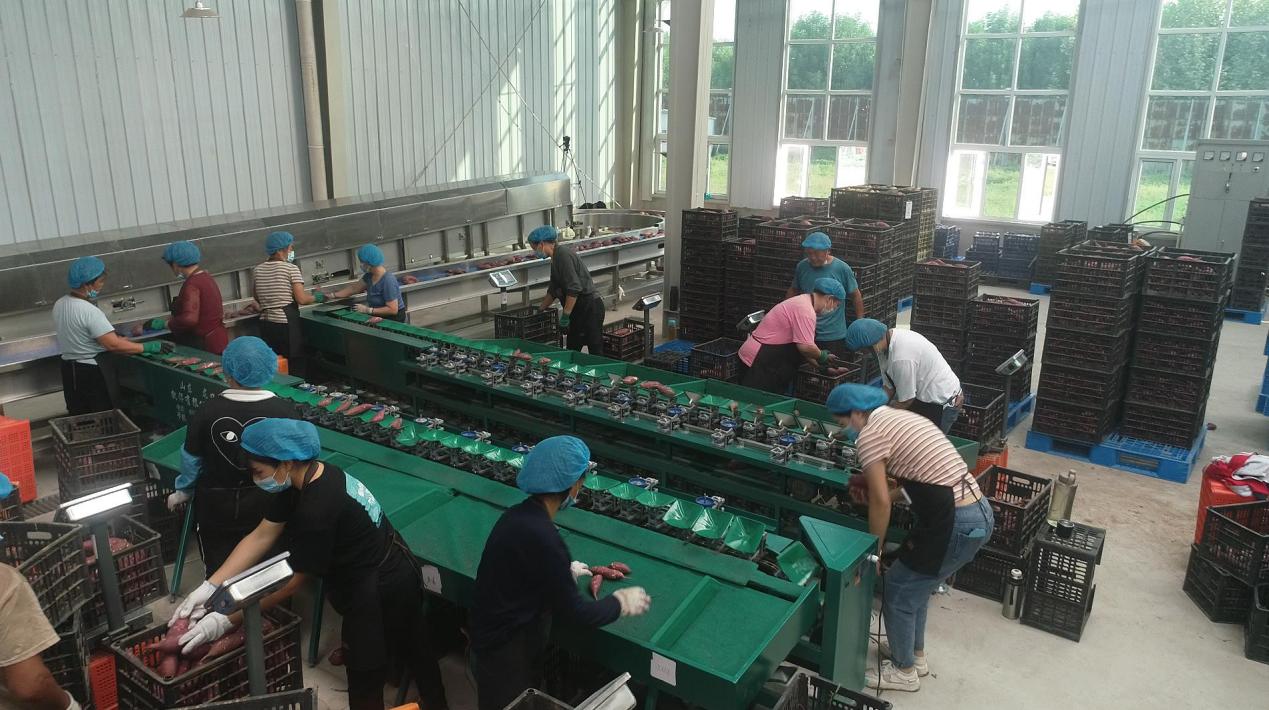 k8����(�й�)����Ӯ�ҡ�һ������