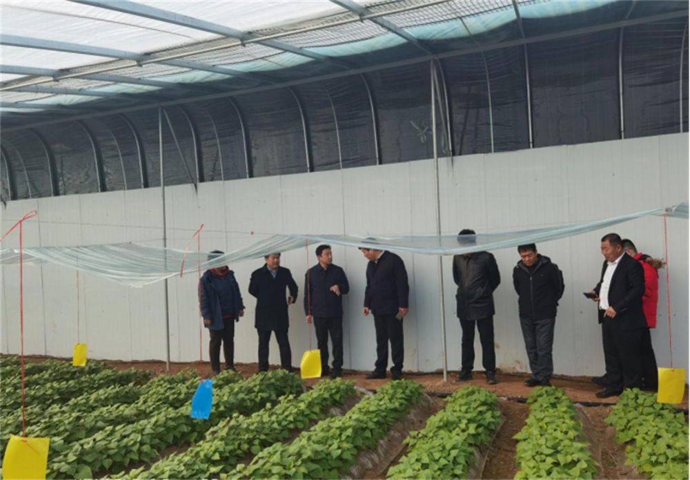 k8����(�й�)����Ӯ�ҡ�һ������