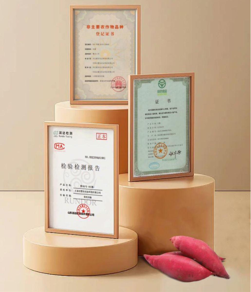 k8����(�й�)����Ӯ�ҡ�һ������