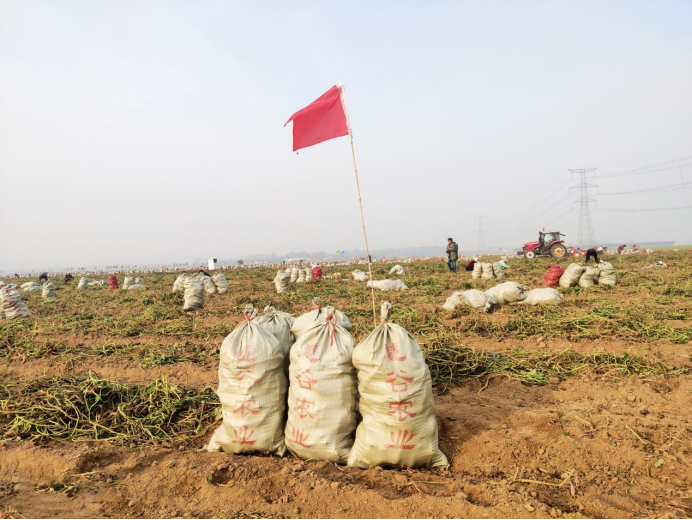 k8����(�й�)����Ӯ�ҡ�һ������