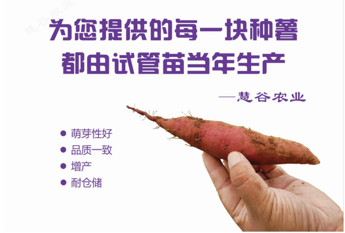 k8����(�й�)����Ӯ�ҡ�һ������