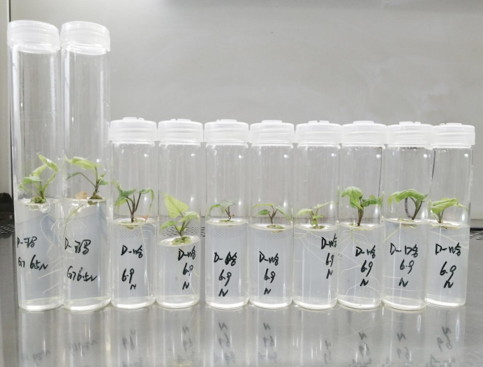 k8����(�й�)����Ӯ�ҡ�һ������