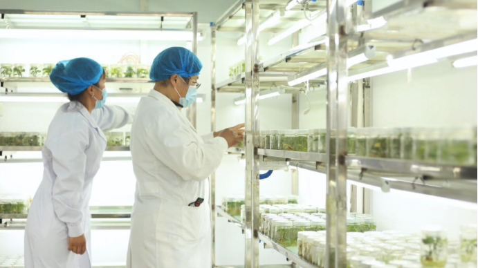 k8����(�й�)����Ӯ�ҡ�һ������