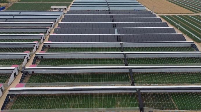 k8����(�й�)����Ӯ�ҡ�һ������