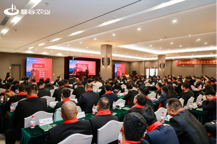 k8����(�й�)����Ӯ�ҡ�һ������