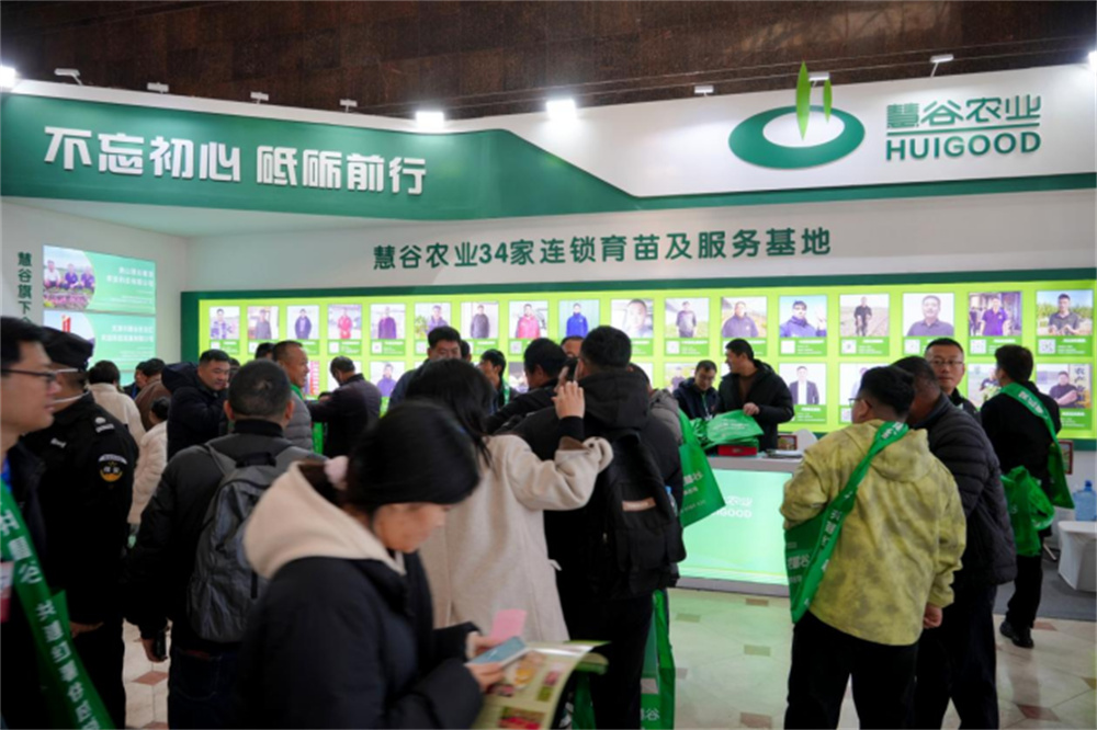 k8����(�й�)����Ӯ�ҡ�һ������