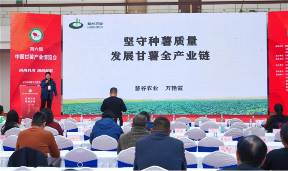 k8����(�й�)����Ӯ�ҡ�һ������