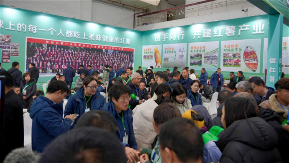 k8����(�й�)����Ӯ�ҡ�һ������