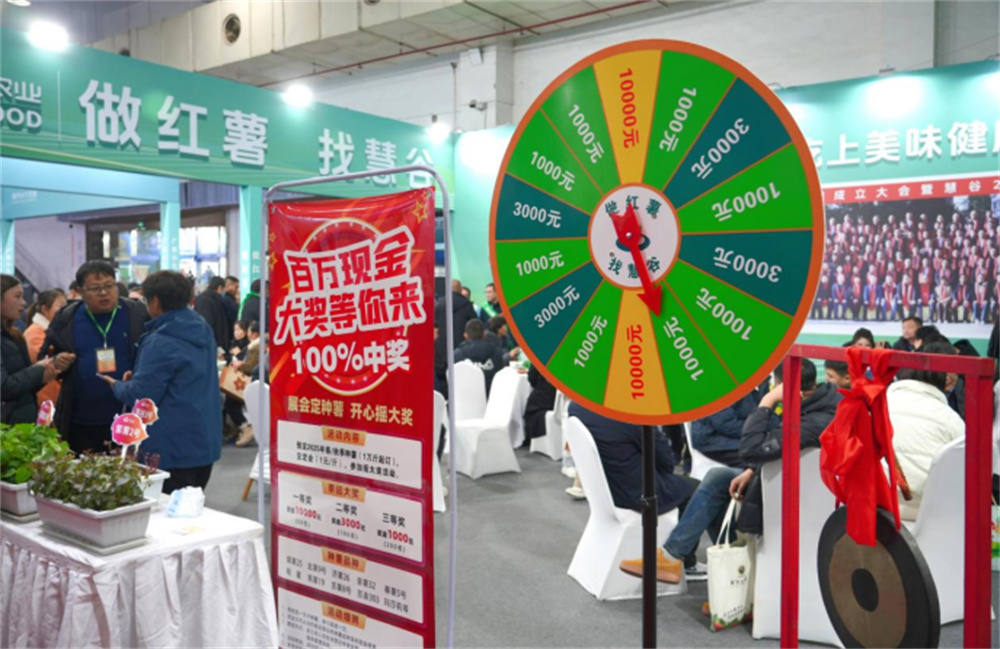 k8����(�й�)����Ӯ�ҡ�һ������