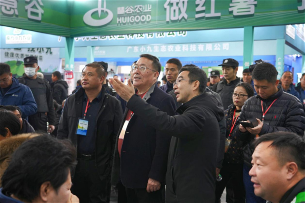 k8����(�й�)����Ӯ�ҡ�һ������