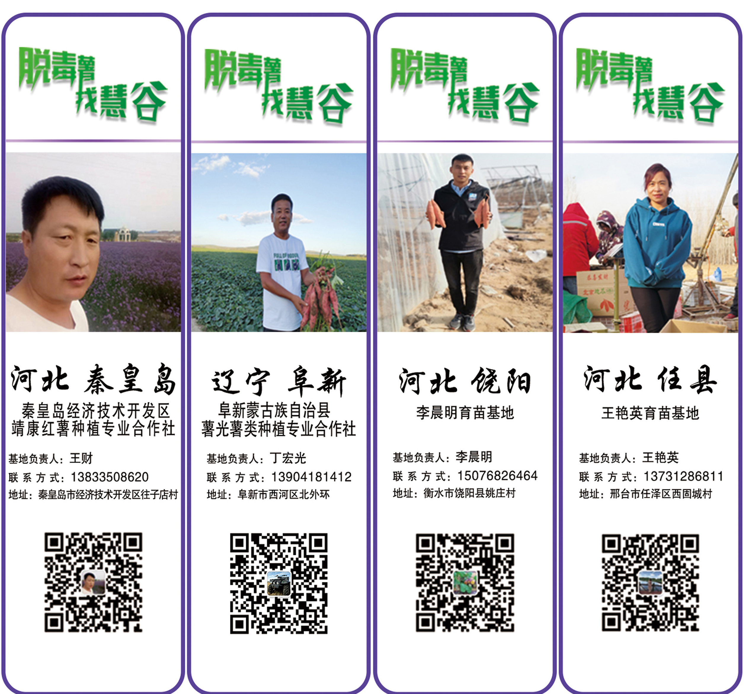 k8����(�й�)����Ӯ�ҡ�һ������