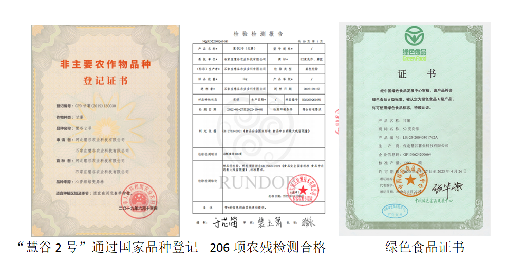 k8����(�й�)����Ӯ�ҡ�һ������