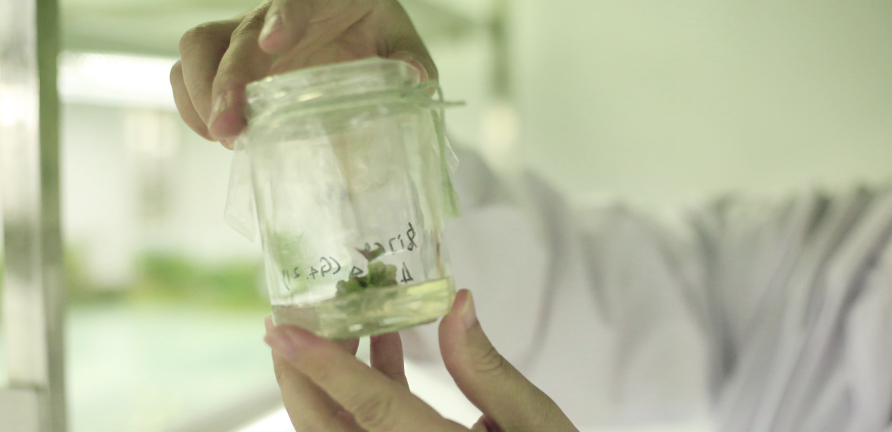 k8����(�й�)����Ӯ�ҡ�һ������