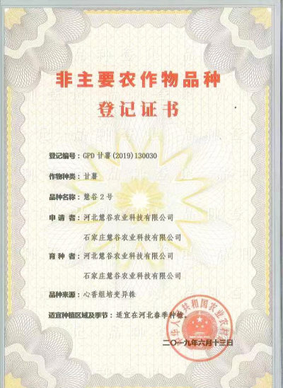 k8����(�й�)����Ӯ�ҡ�һ������