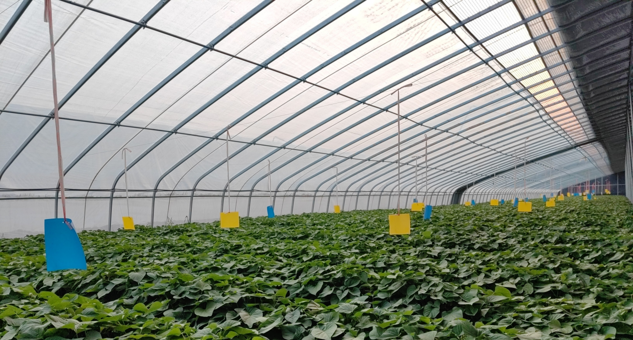 k8����(�й�)����Ӯ�ҡ�һ������