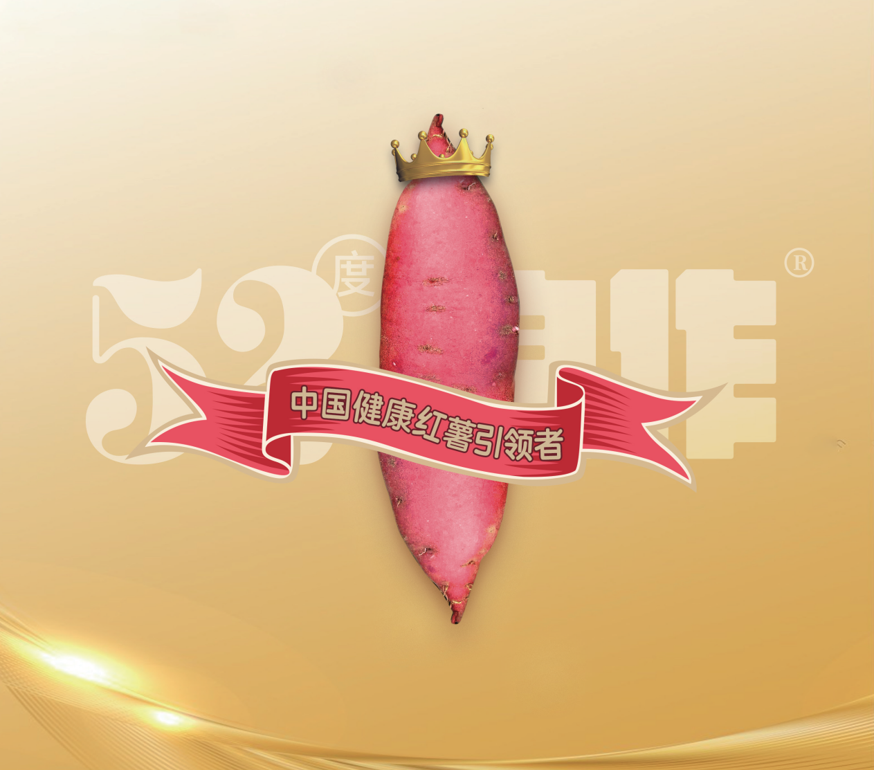 k8����(�й�)����Ӯ�ҡ�һ������