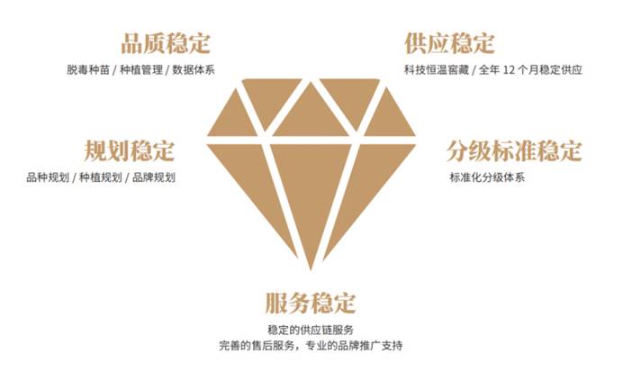 k8����(�й�)����Ӯ�ҡ�һ������