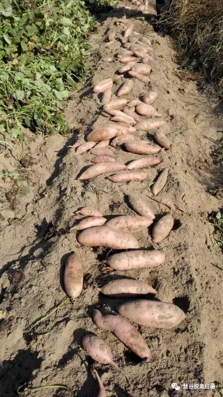 k8����(�й�)����Ӯ�ҡ�һ������