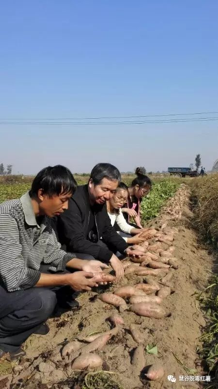 k8����(�й�)����Ӯ�ҡ�һ������