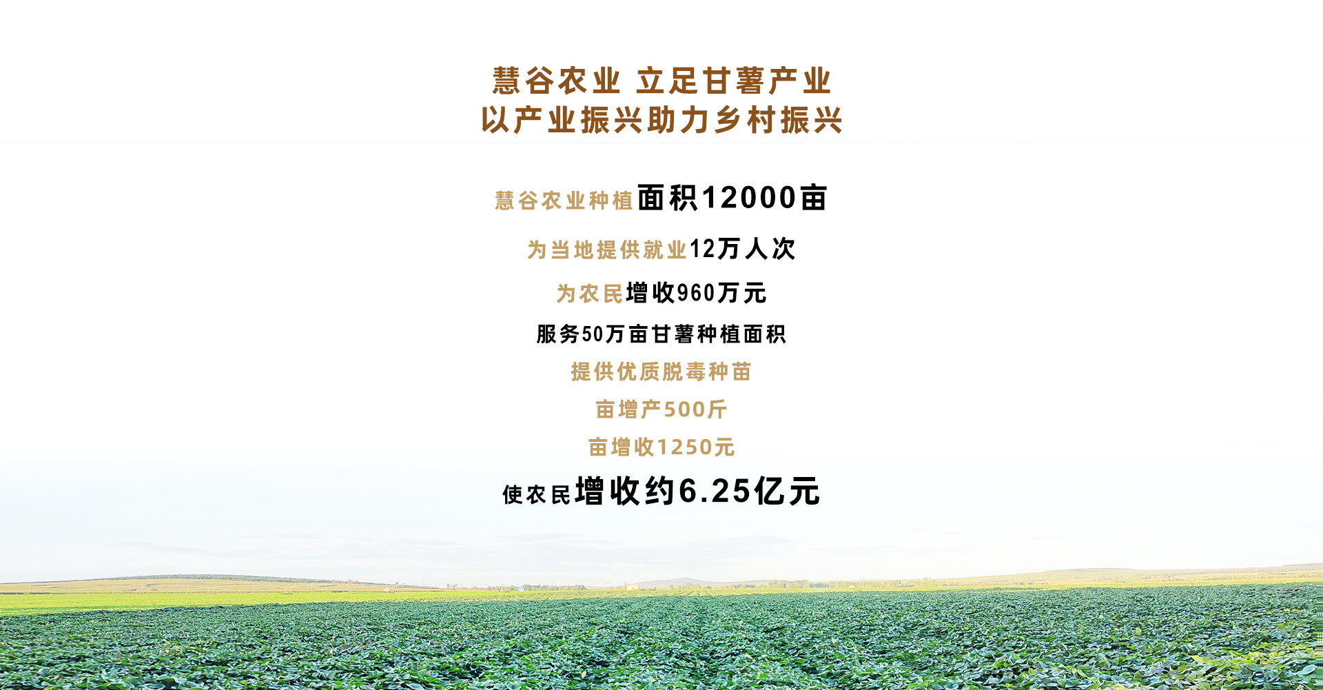 k8����(�й�)����Ӯ�ҡ�һ������