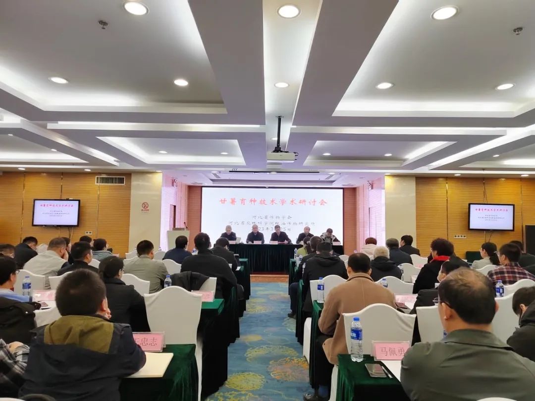 k8����(�й�)����Ӯ�ҡ�һ������