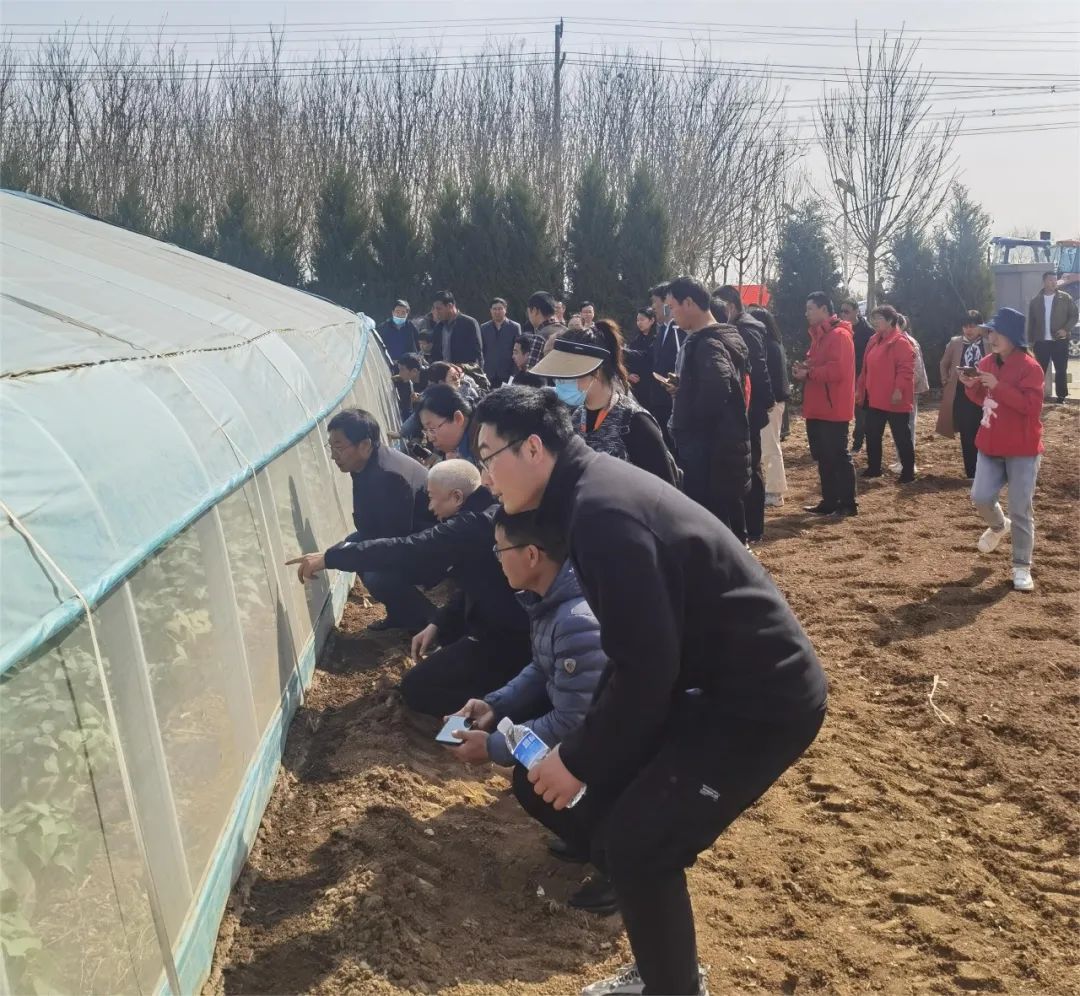 k8����(�й�)����Ӯ�ҡ�һ������