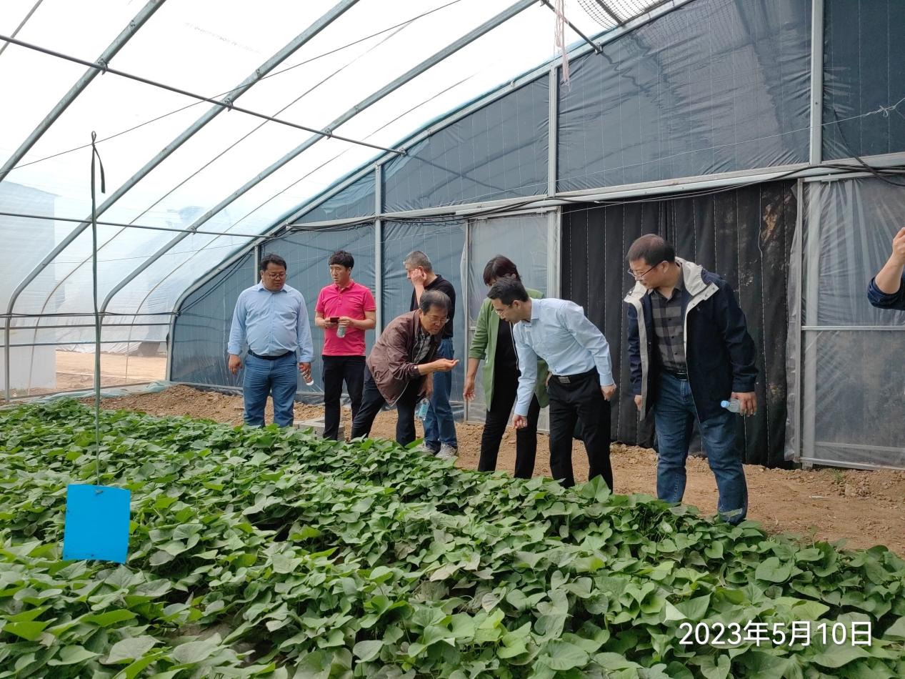 k8����(�й�)����Ӯ�ҡ�һ������