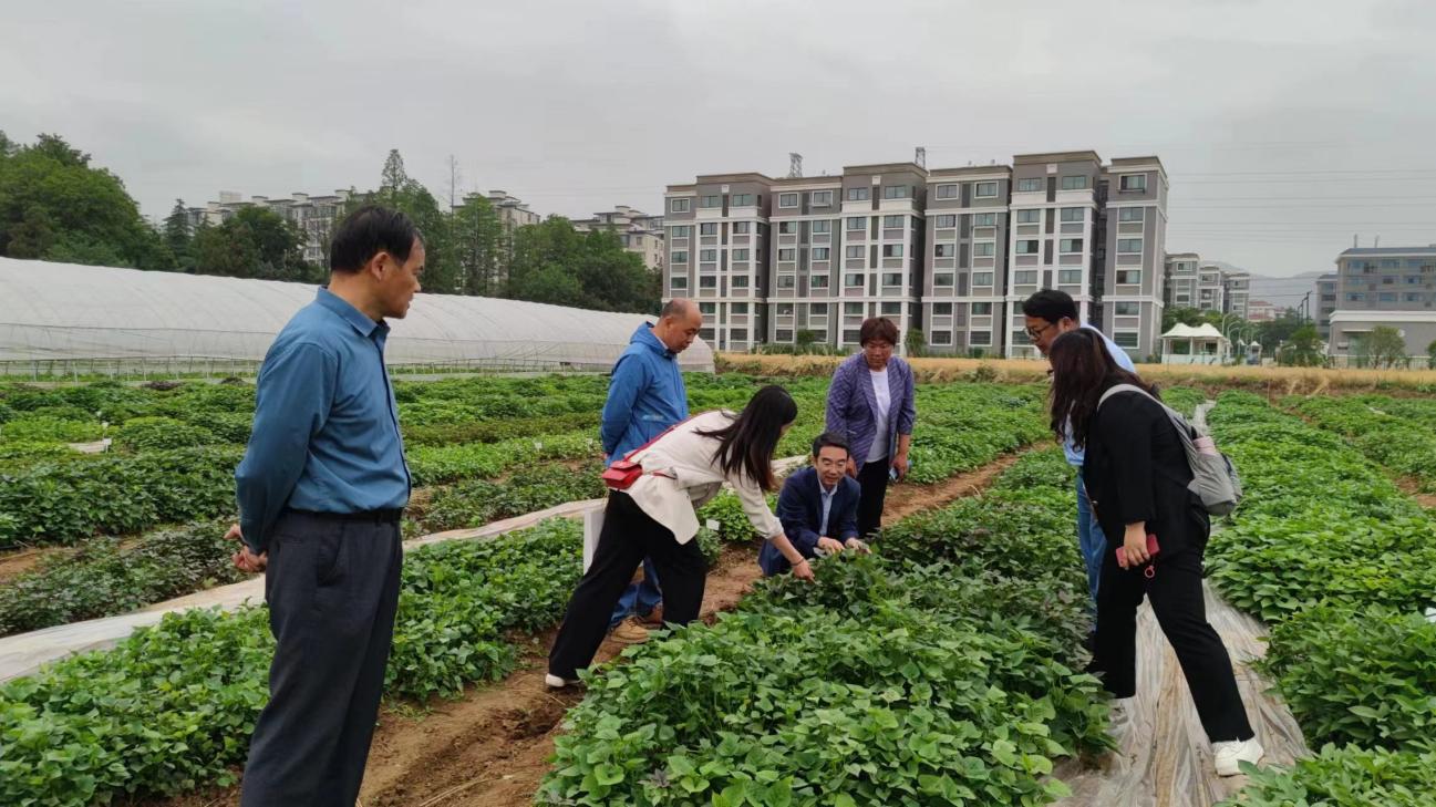 k8����(�й�)����Ӯ�ҡ�һ������